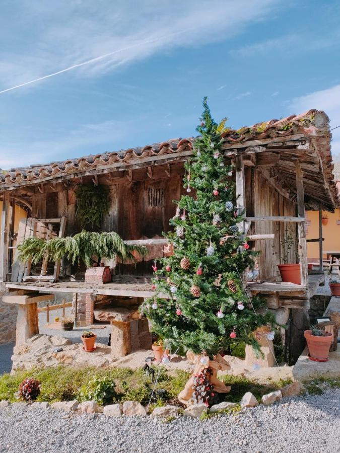 Apartmán Carroceu Rural Onís Pokoj fotografie
