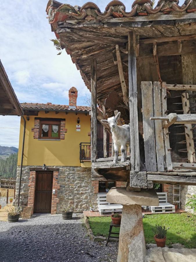Apartmán Carroceu Rural Onís Exteriér fotografie