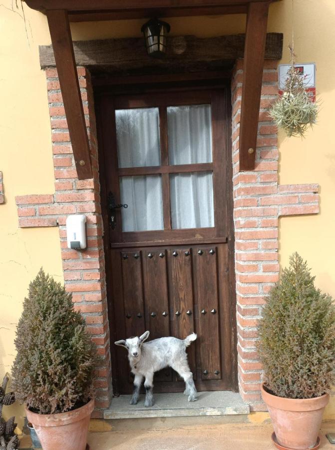 Apartmán Carroceu Rural Onís Exteriér fotografie